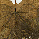 %_tempFileNameSTRUKTUR%20-%20095%