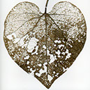 %_tempFileNameSTRUKTUR%20-%20098%