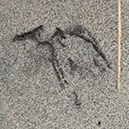 %_tempFileNameSTRUKTUR%20-%20100%