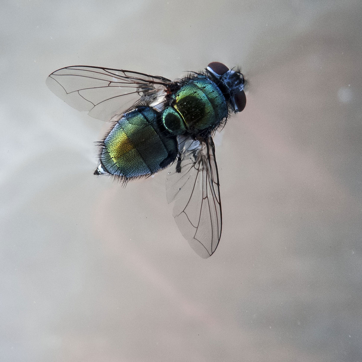 %_tempFileNameTRIBUT%20-%2002%