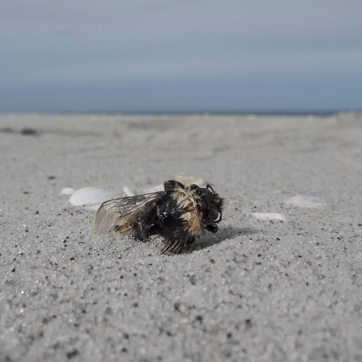 %_tempFileNameTRIBUT%20-%2006%