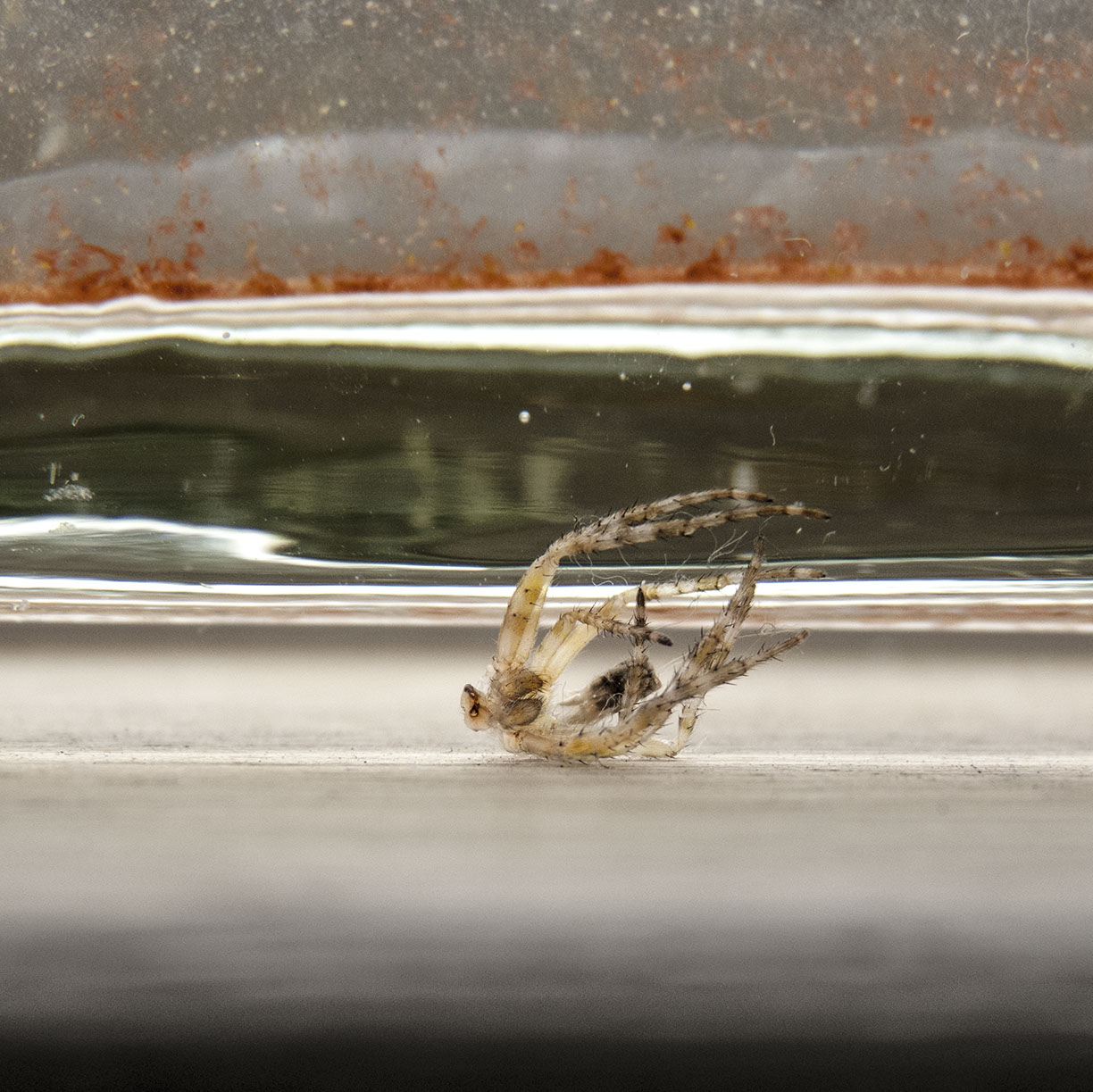 %_tempFileNameTRIBUT%20-%2007%