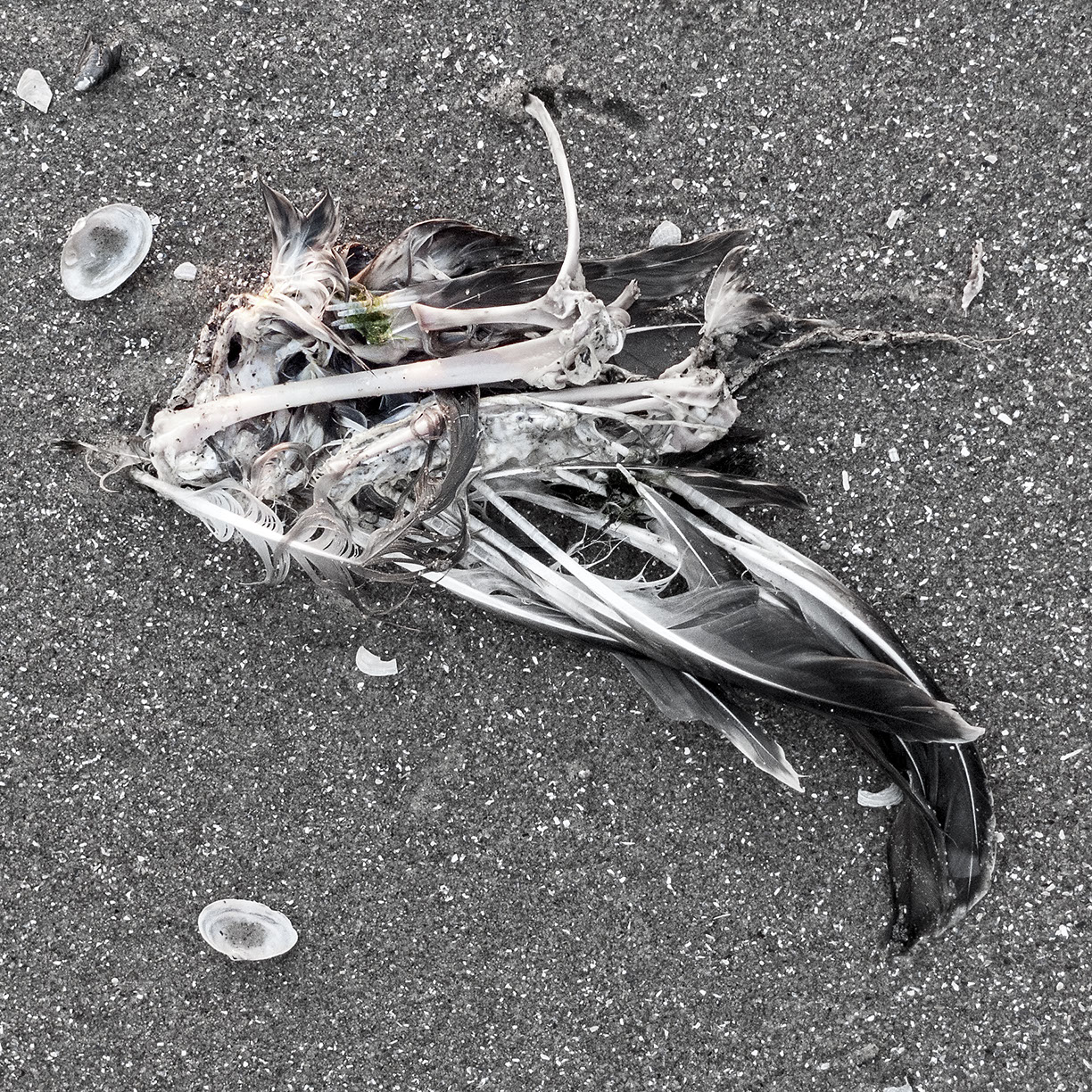 %_tempFileNameTRIBUT%20-%2008%