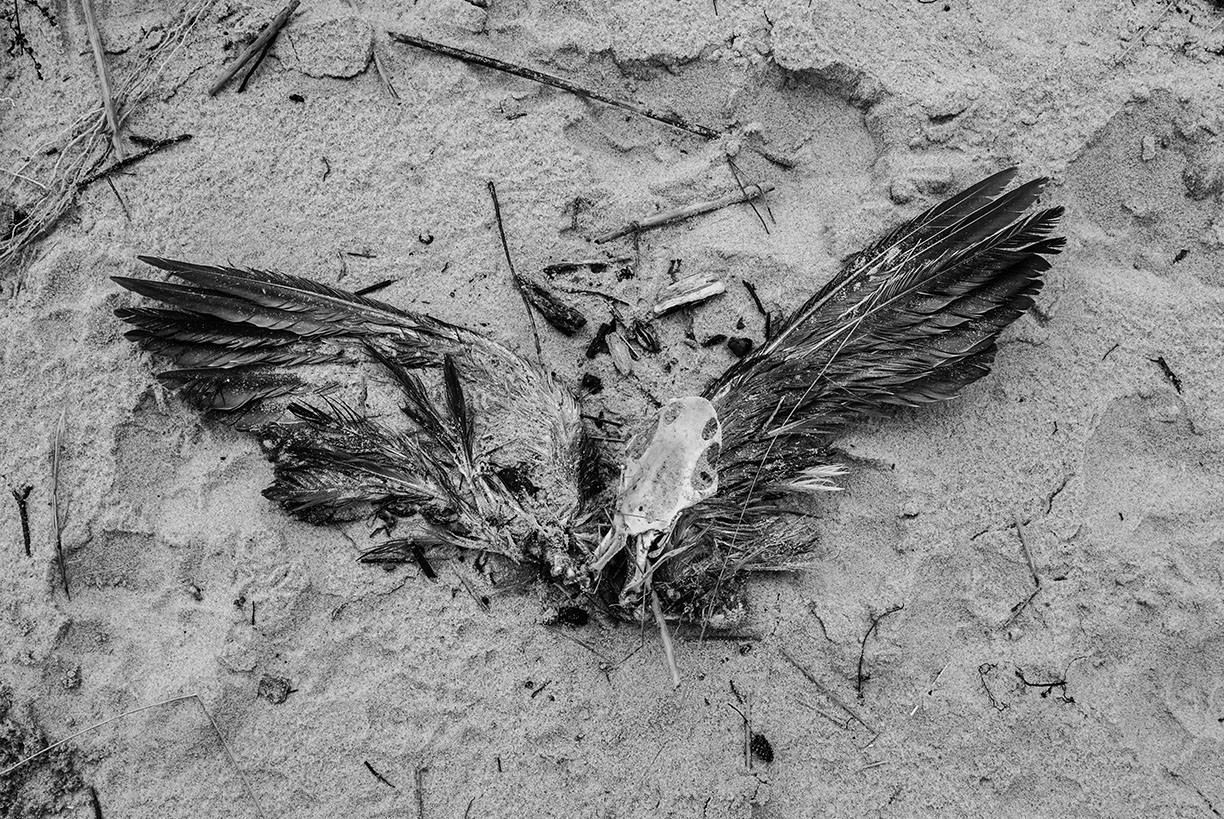 %_tempFileNameTRIBUT%20-%2010%