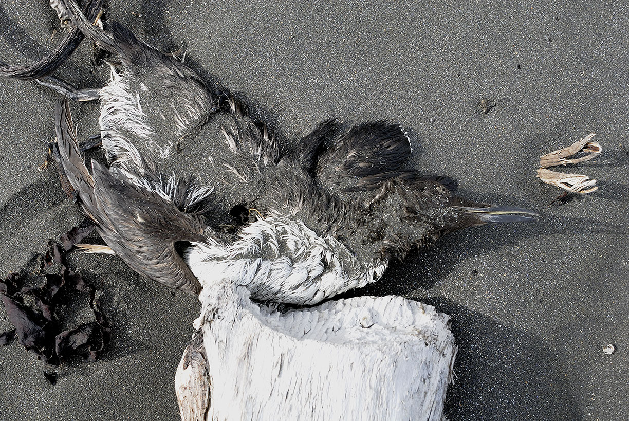 %_tempFileNameTRIBUT%20-%2011%