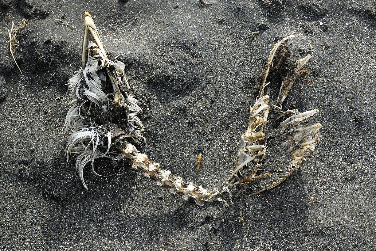 %_tempFileNameTRIBUT%20-%2012%