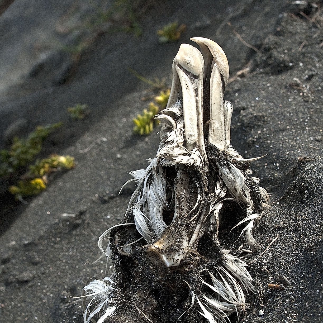 %_tempFileNameTRIBUT%20-%2013%