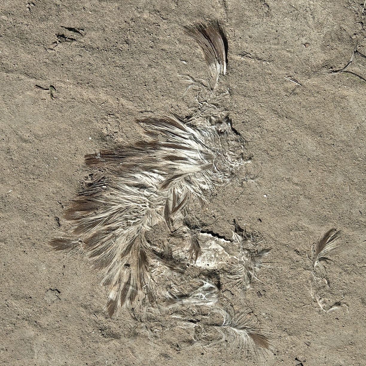 %_tempFileNameTRIBUT%20-%2014%