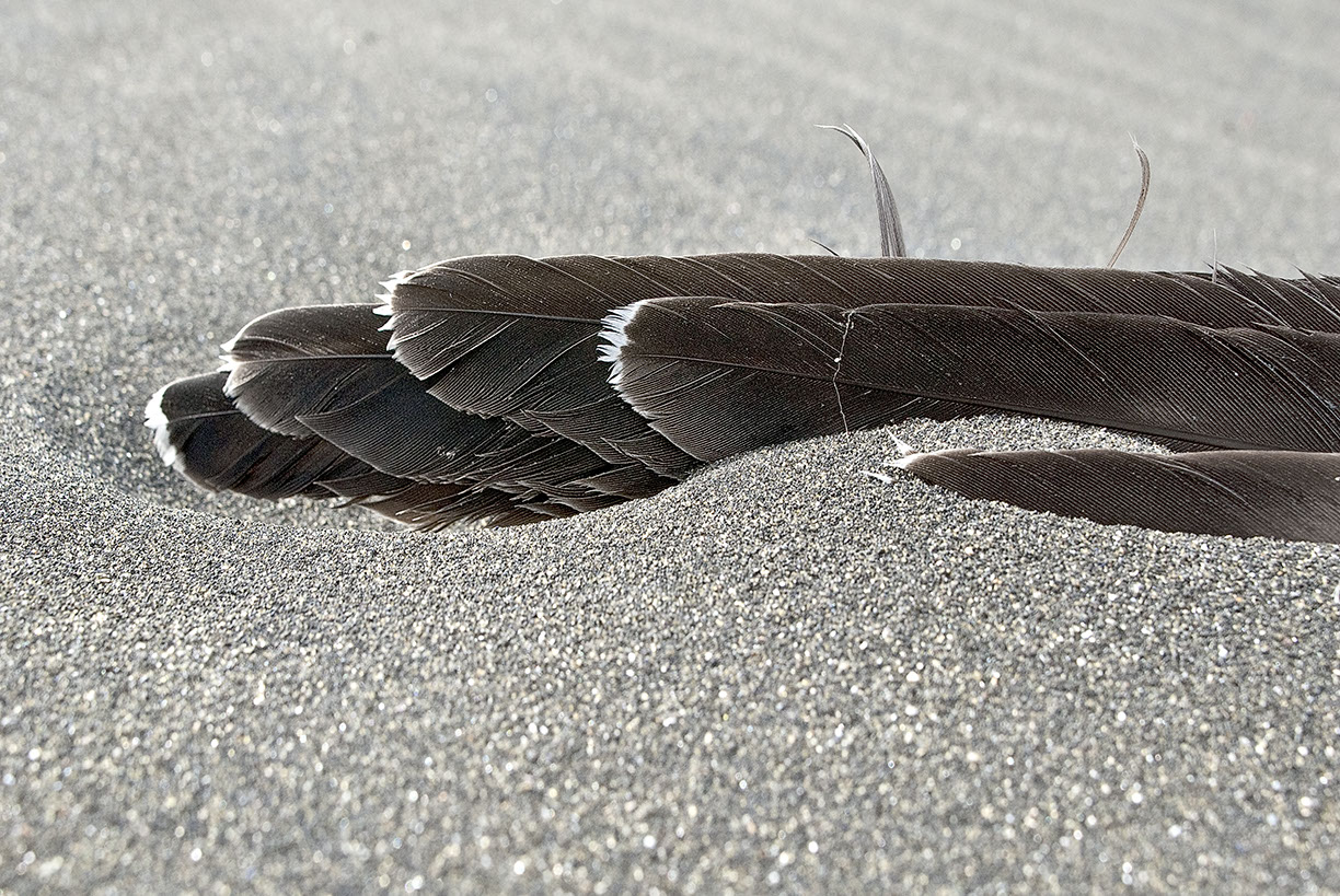 %_tempFileNameTRIBUT%20-%2015%