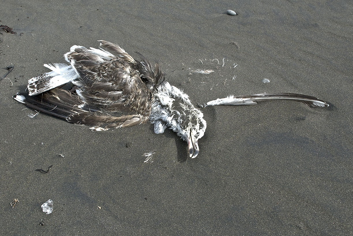 %_tempFileNameTRIBUT%20-%2016%