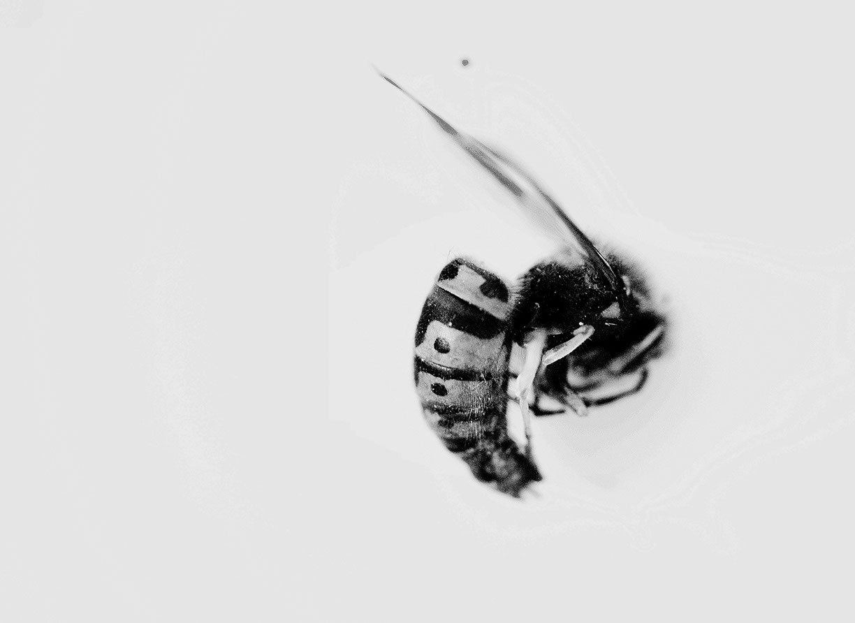 %_tempFileNameTRIBUT%20-%2019%