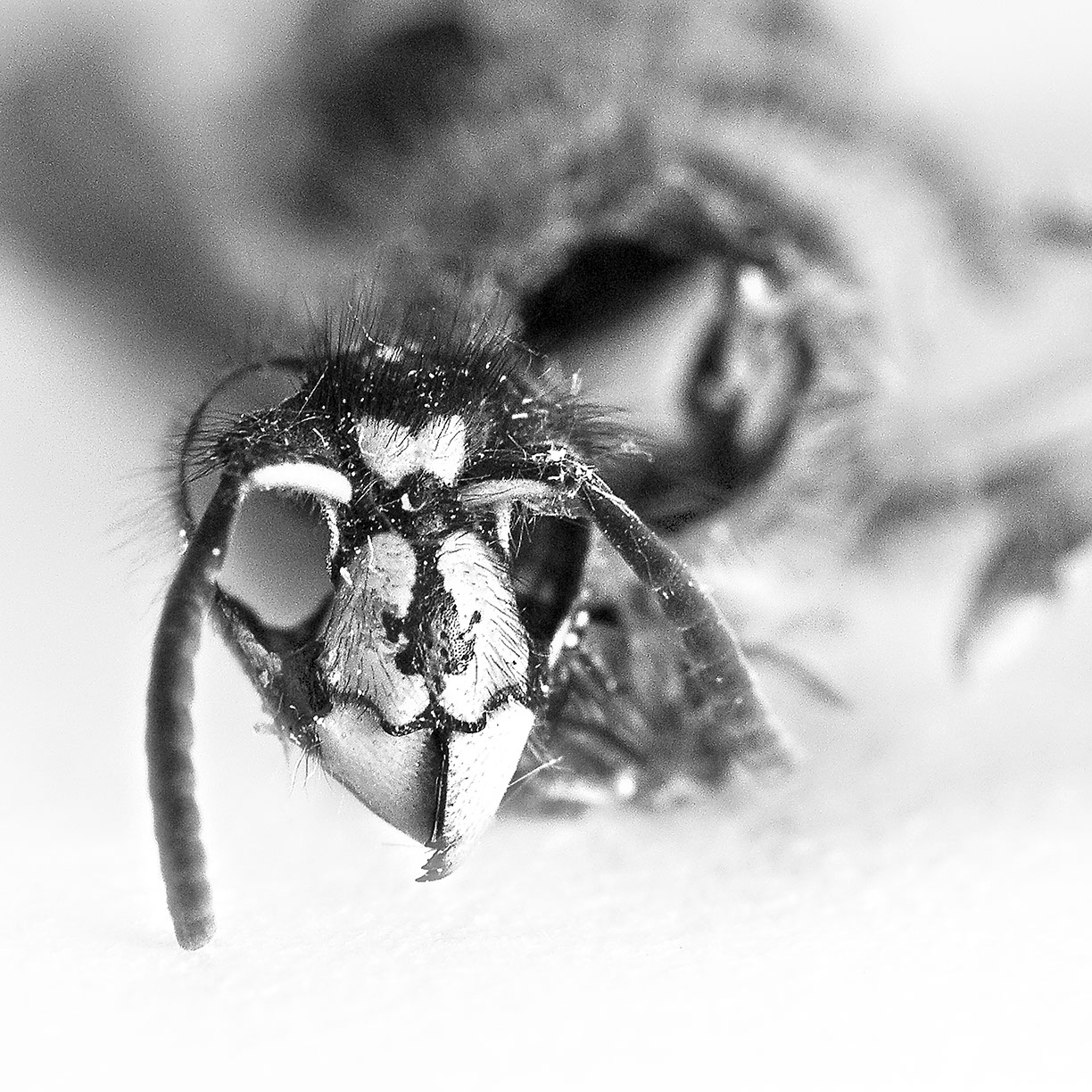 %_tempFileNameTRIBUT%20-%2020%