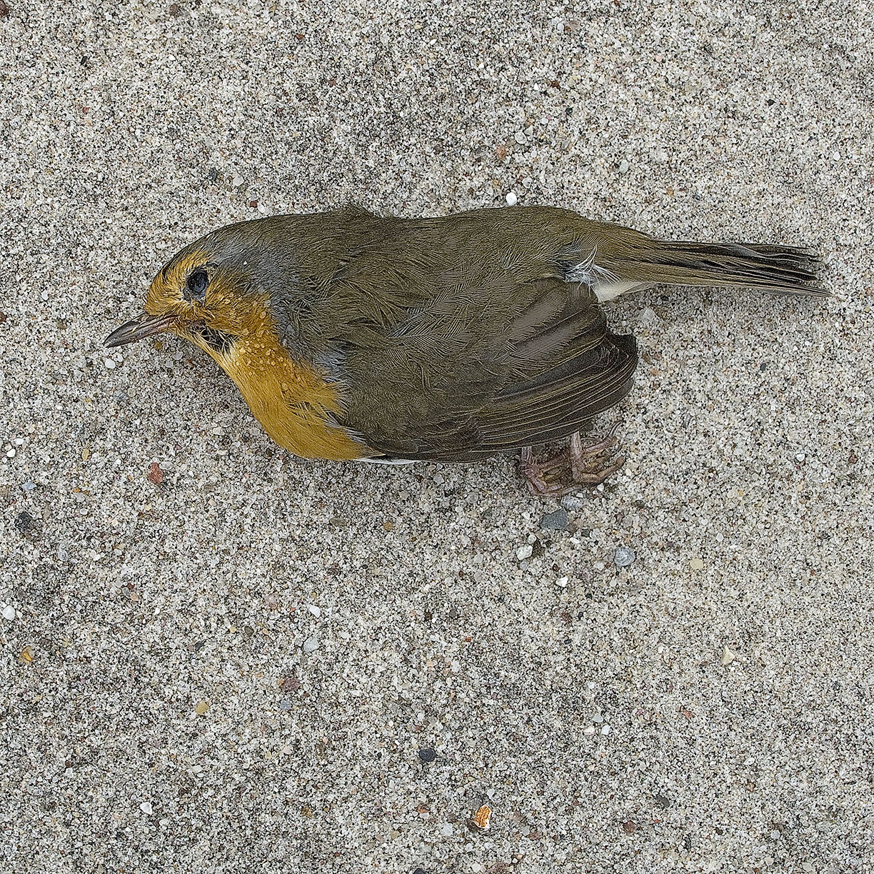 %_tempFileNameTRIBUT%20-%2022%