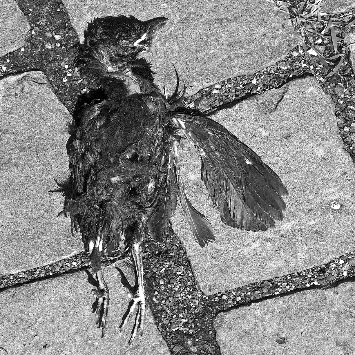 %_tempFileNameTRIBUT%20-%2024%