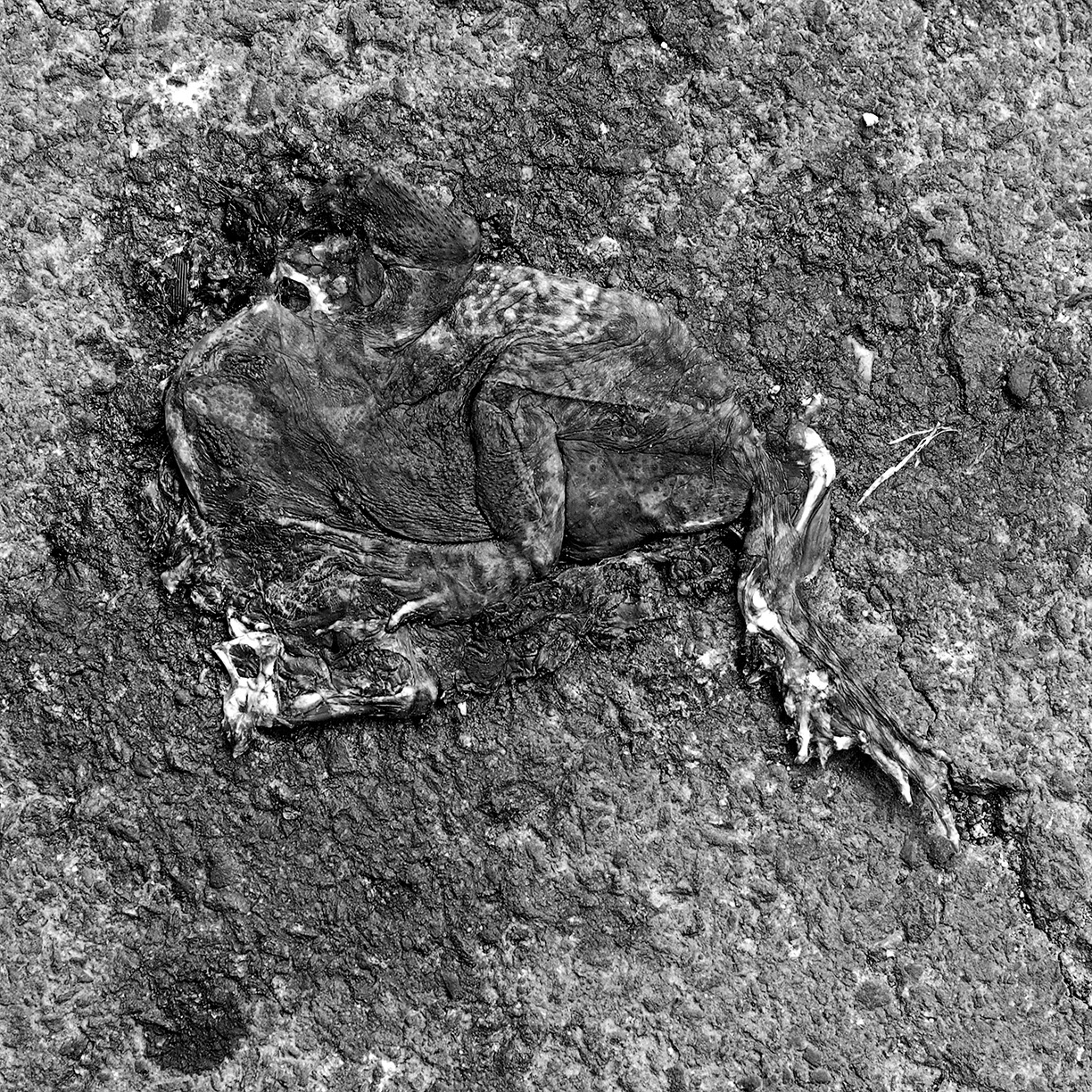 %_tempFileNameTRIBUT%20-%2025%