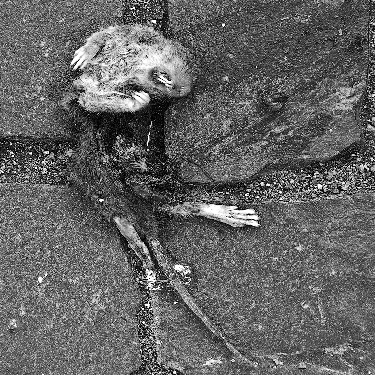 %_tempFileNameTRIBUT%20-%2026%