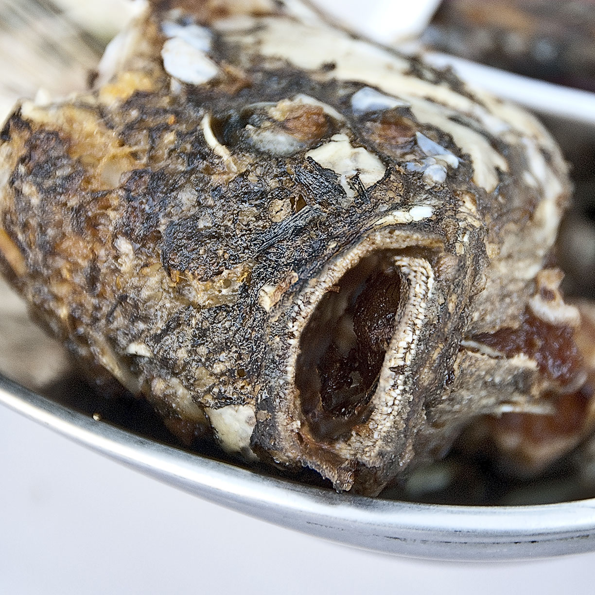 %_tempFileNameTRIBUT%20-%2029%