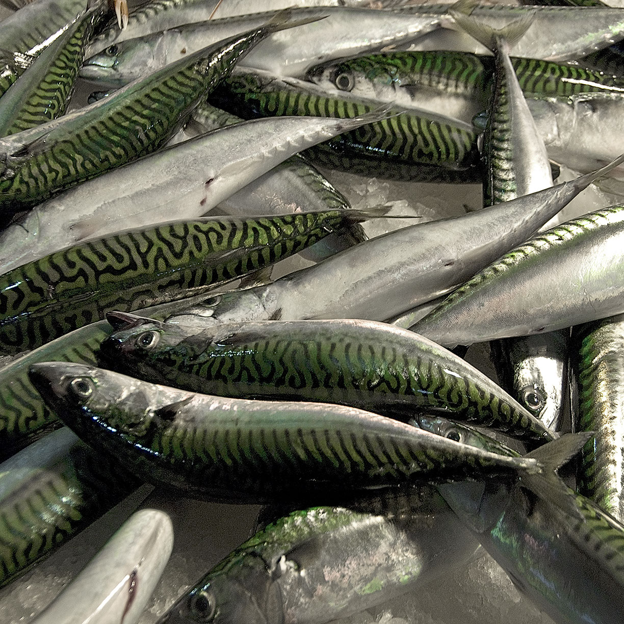 %_tempFileNameTRIBUT%20-%2031%