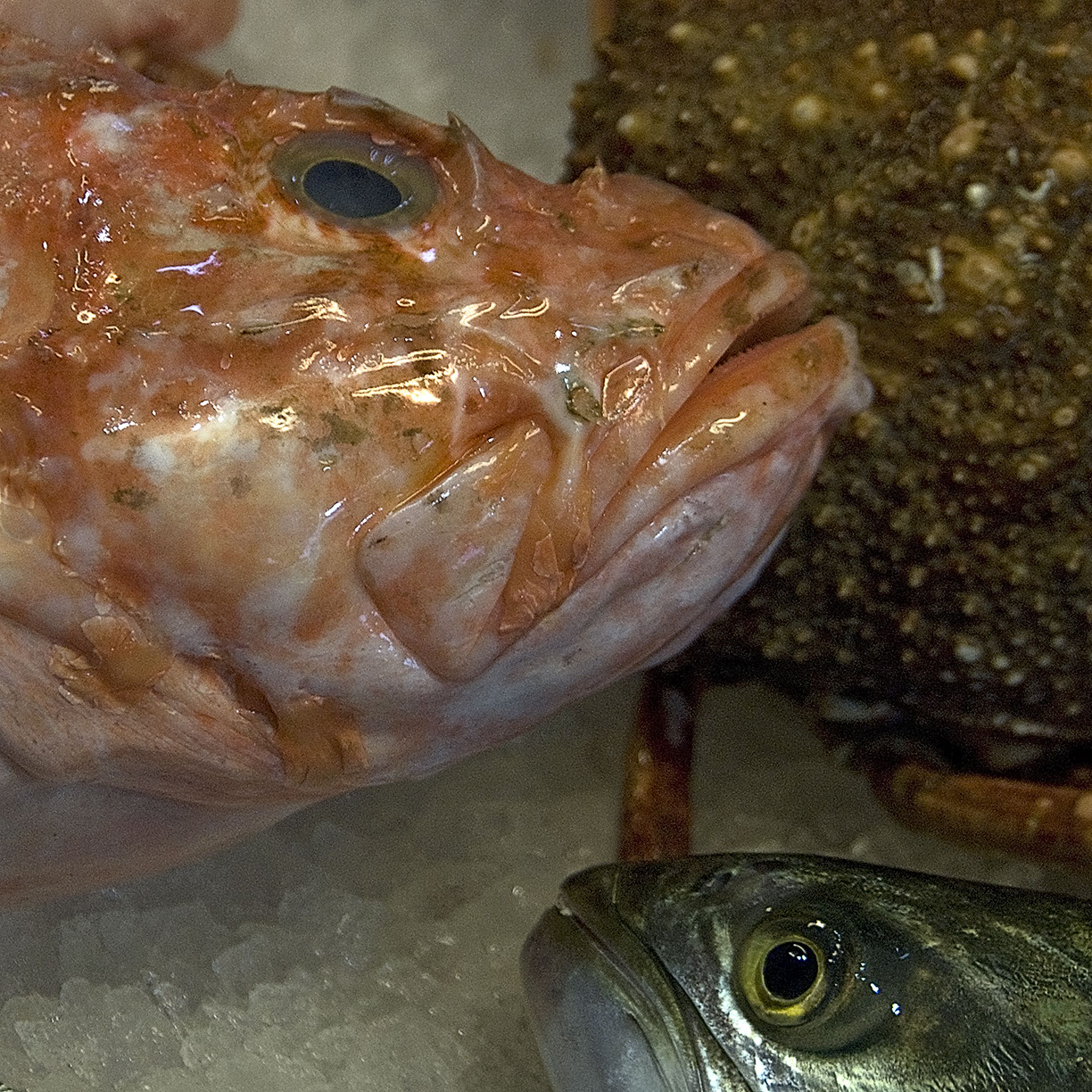 %_tempFileNameTRIBUT%20-%2032%