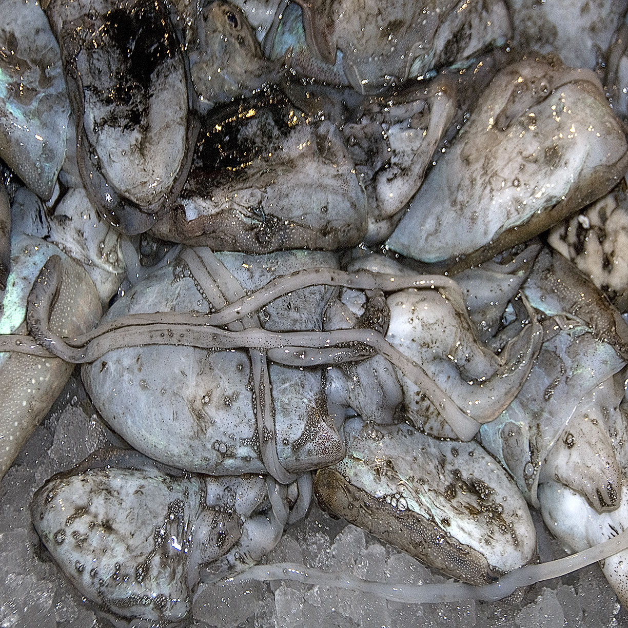 %_tempFileNameTRIBUT%20-%2034%