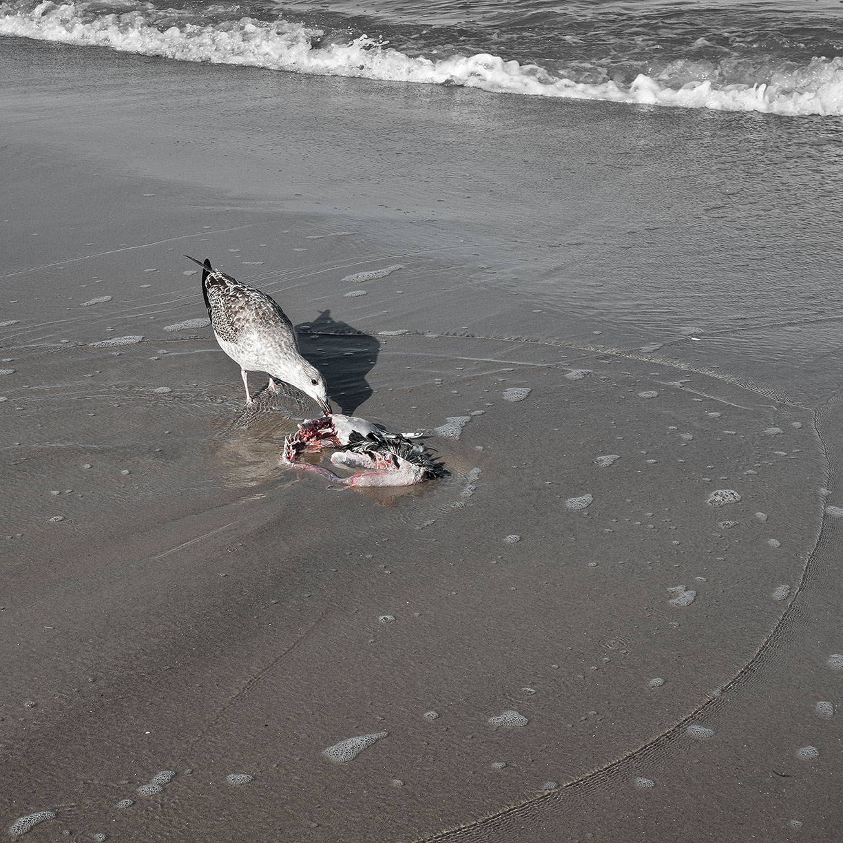 %_tempFileNameTRIBUT%20-%2035%