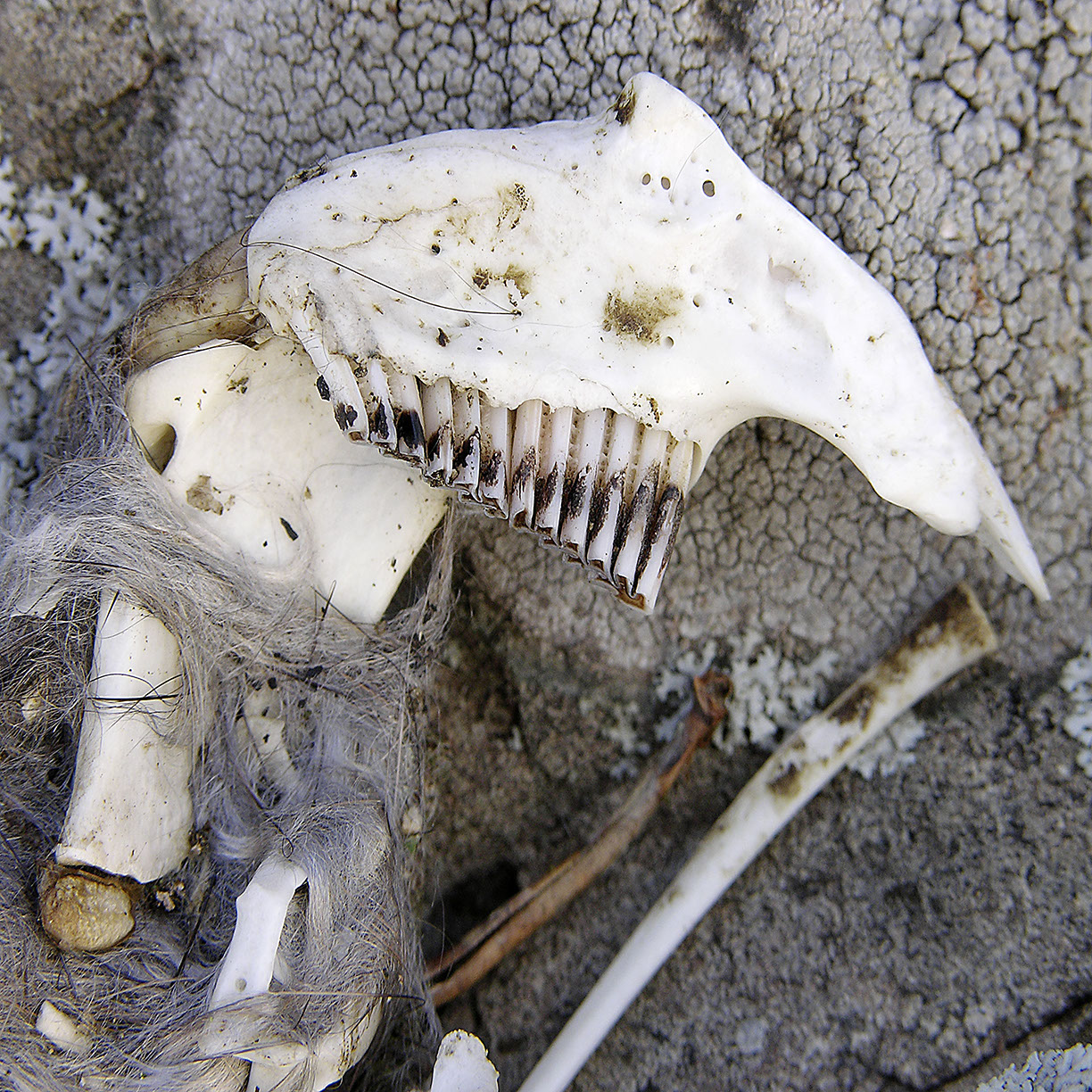 %_tempFileNameTRIBUT%20-%2039%