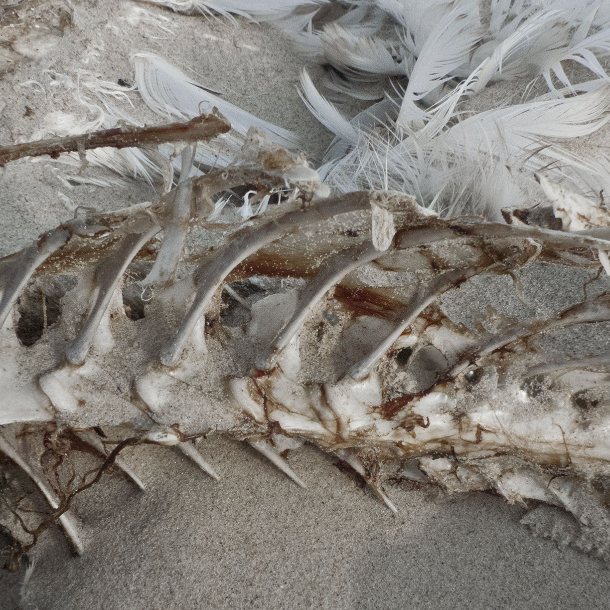 %_tempFileNameTRIBUT%20-%2044%