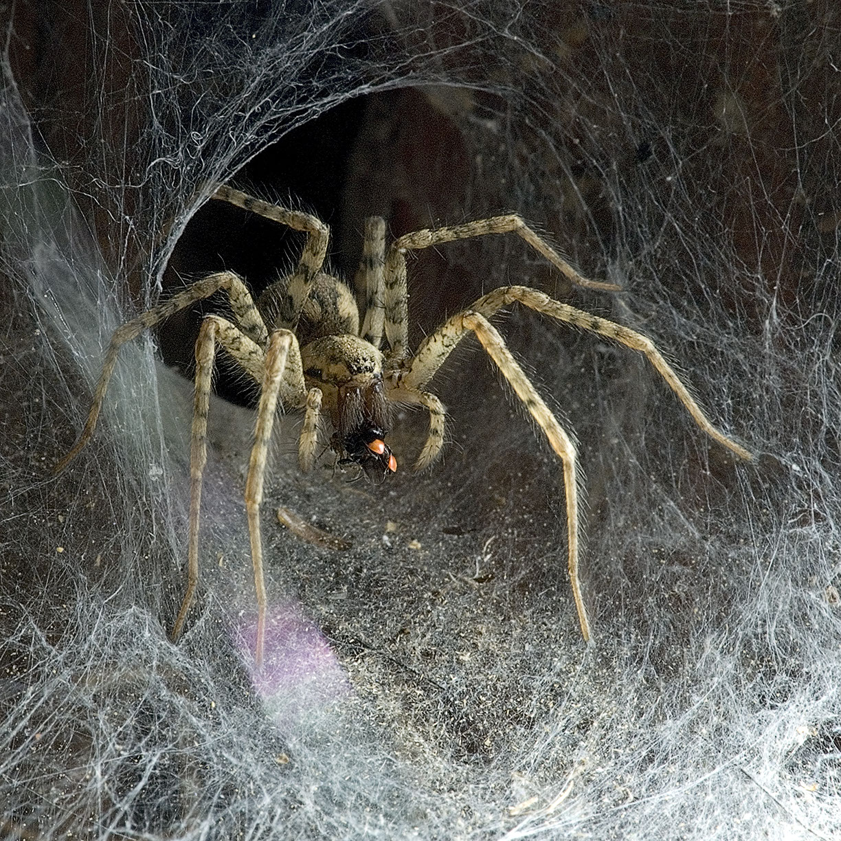 %_tempFileNameTRIBUT%20-%2046%