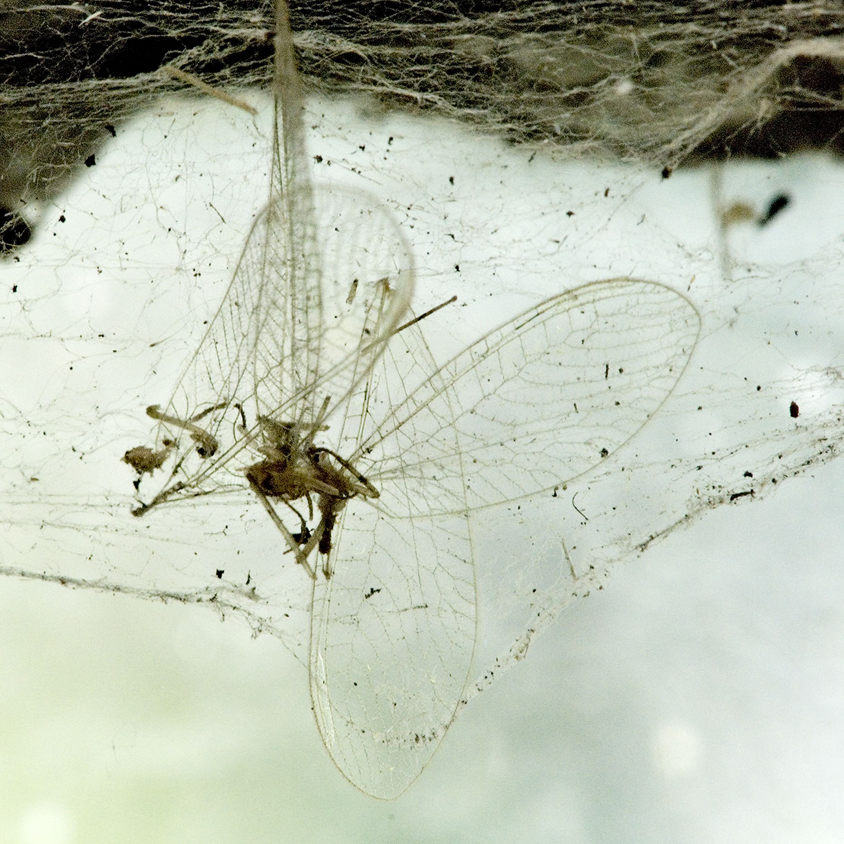 %_tempFileNameTRIBUT%20-%2047%