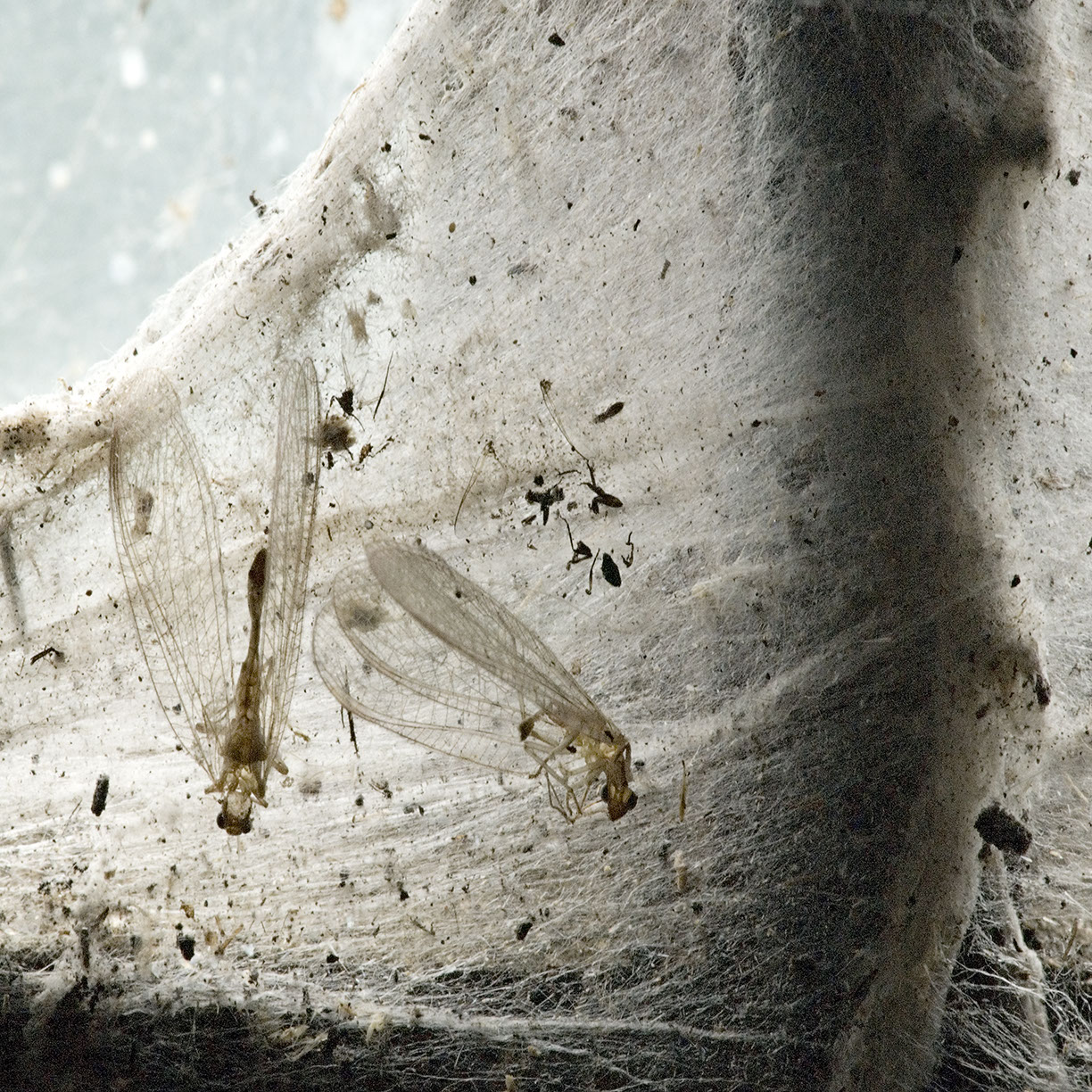 %_tempFileNameTRIBUT%20-%2048%