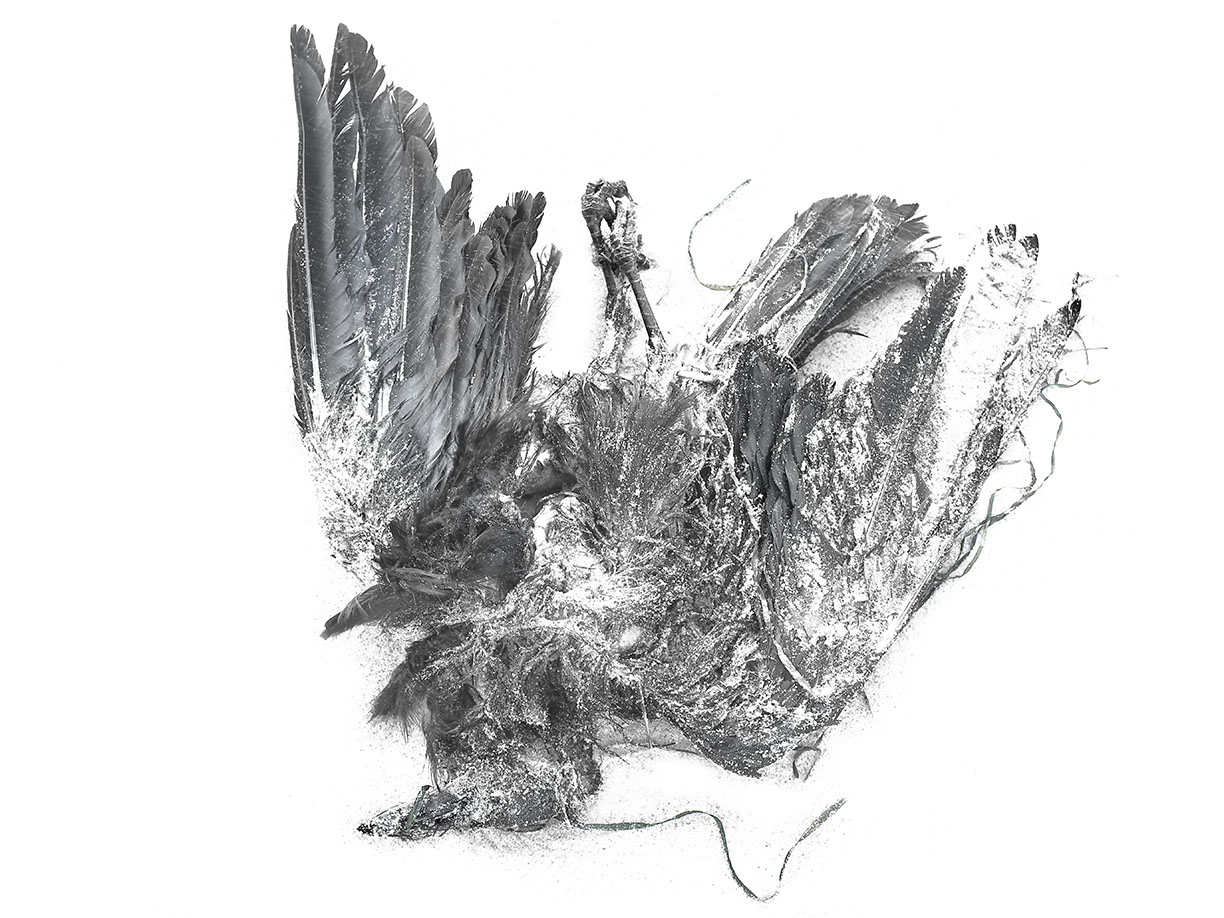 %_tempFileNameTRIBUT%20-%2049%