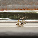 %_tempFileNameTRIBUT%20-%2007%