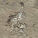 %_tempFileNameTRIBUT%20-%2014%