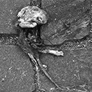 %_tempFileNameTRIBUT%20-%2026%