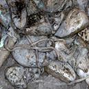 %_tempFileNameTRIBUT%20-%2034%