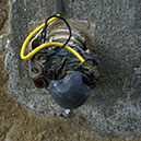 %_tempFileNameTRIBUT%20-%2041%